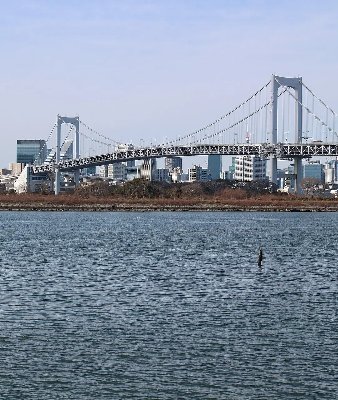 The Rainbow Bridge and Tokyo bay skyline seen from the Odaiba waterfront
