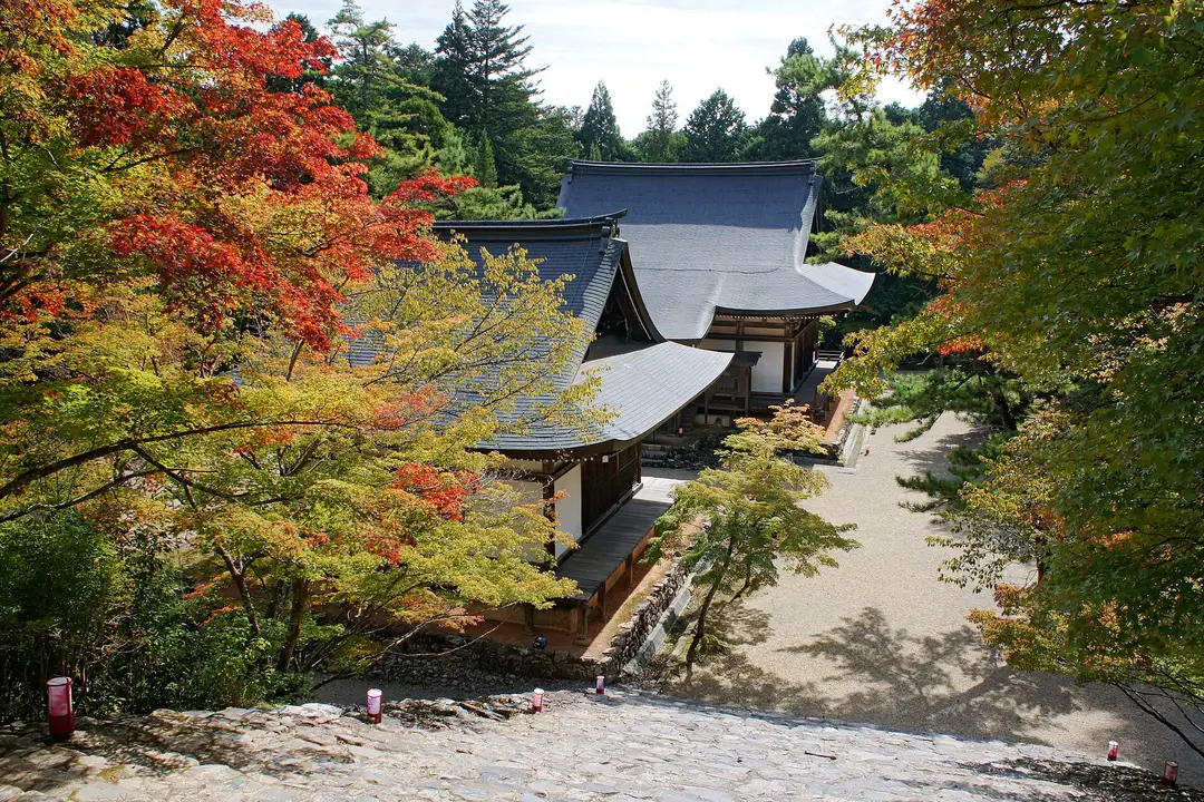 A temple hall at Jingo-ji on Mt Takao framed by reddening maples on a wooded mountain slope, northwest Kyoto