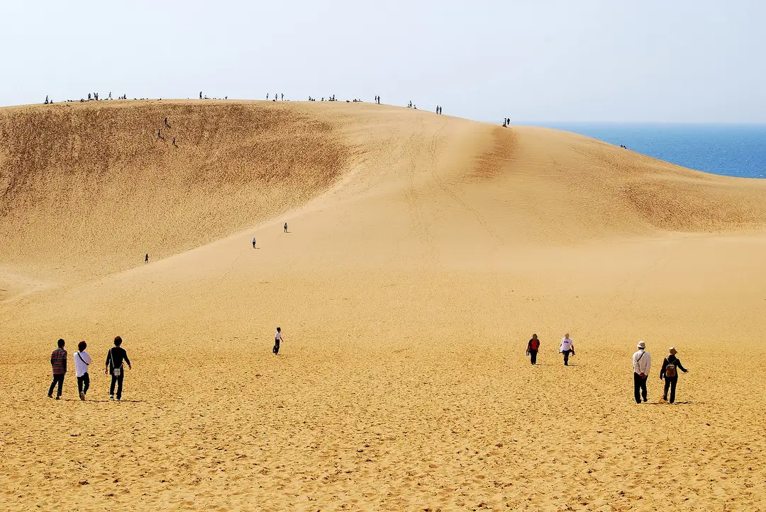 The great bowl of the Tottori Sand Dunes rising to a wind-carved ridge above the blue Sea of Japan, tiny distant figures on the sand giving the scale
