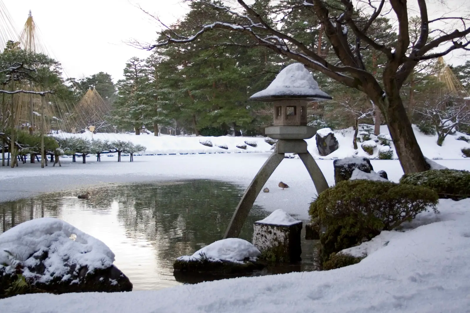 The snow-capped Kotojitoro stone lantern on its two legs beside the frozen Kasumigaike pond in Kenrokuen garden, Kanazawa, with snow-suspension ropes (yukitsuri) on the pines behind
