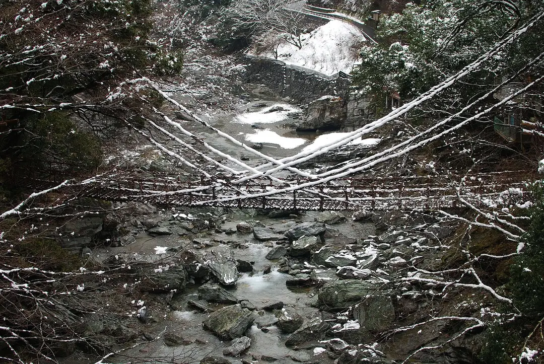 The Iya-no-Kazurabashi bridge of woven mountain vines, dusted with snow, strung across the quiet Iya gorge deep in the Tokushima mountains