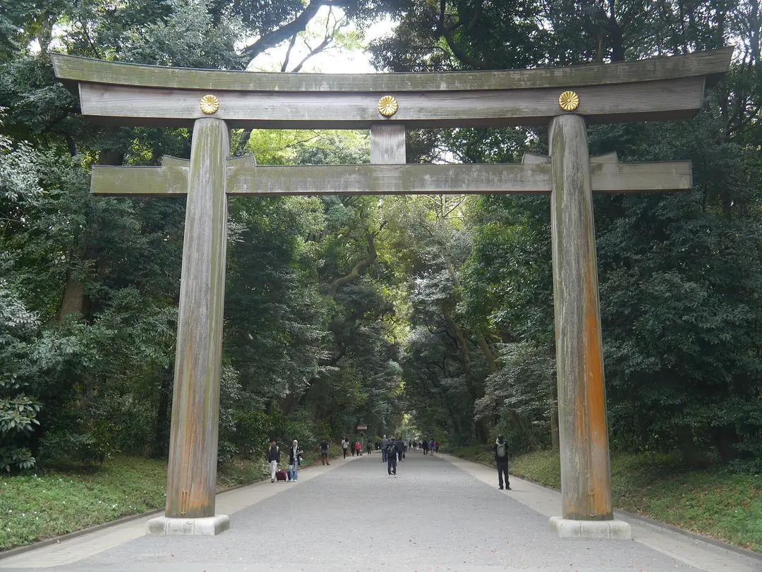 The great wooden torii gate on the tree-lined forest approach to Meiji Jingu shrine in Tokyo