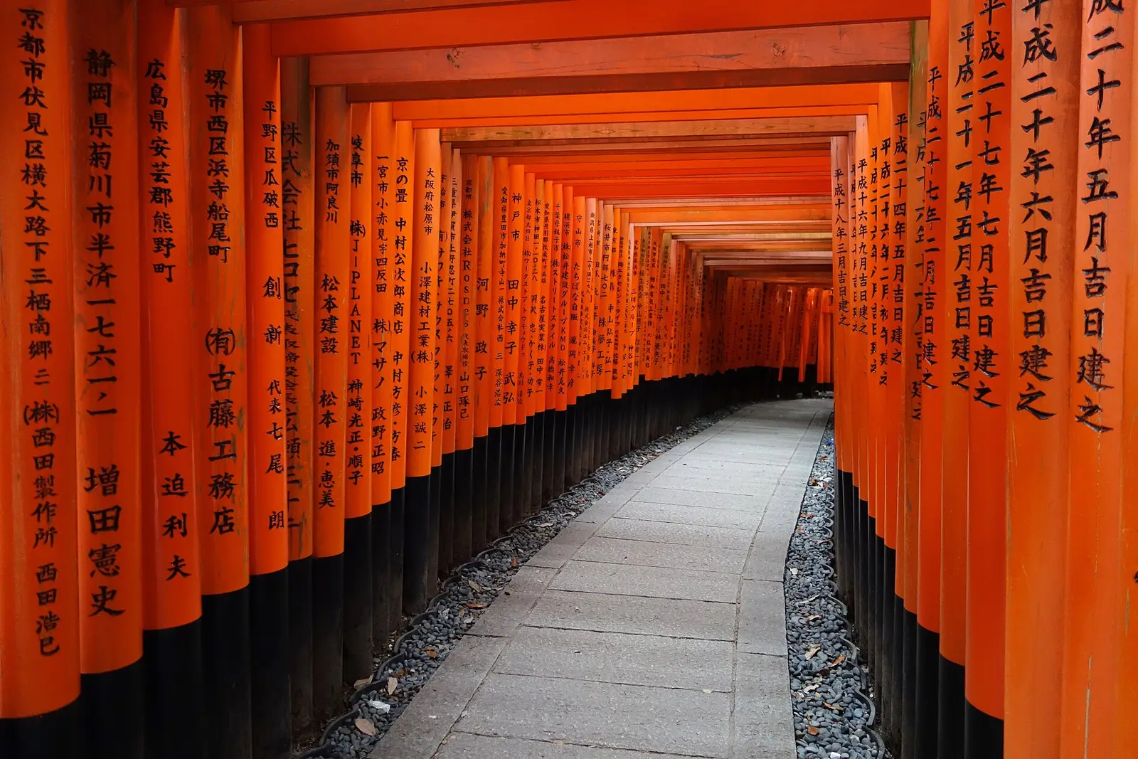 The vermilion torii gate corridor of Fushimi Inari shrine in Kyoto, standing empty between the dense rows of gates