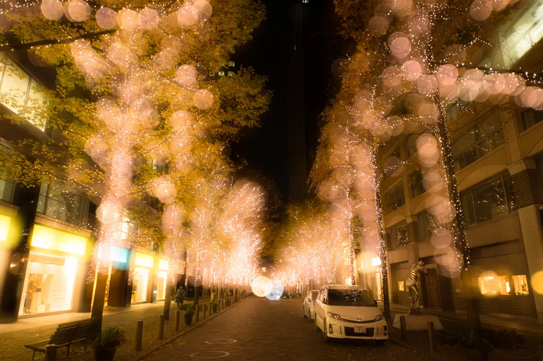 A Tokyo avenue lined with bare trees strung in champagne-gold winter illuminations along Marunouchi's Naka-dori at night